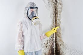 Environmental Consulting for Mold Prevention in Warsaw, IN